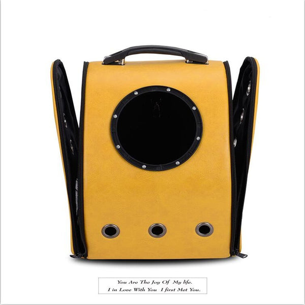 The Sensational Space Capsule