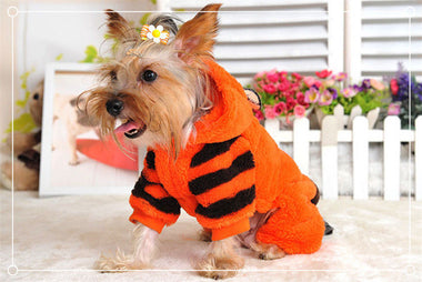 The Wacky Winter Pet Clothes